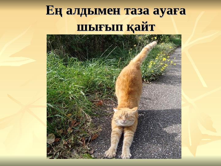Ең алдымен таза ауаға Ең алдымен таза ауаға шығып қайтшығып қайт