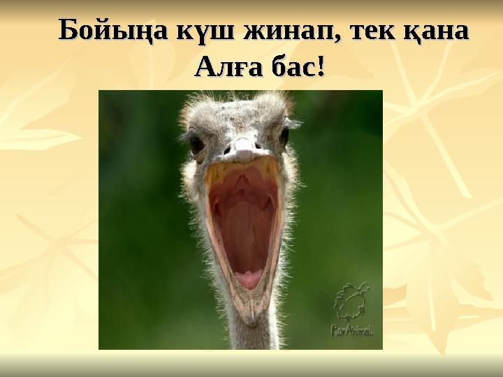 Бойыңа күш жинап, тек қана Бойыңа күш жинап, тек қана Алға бас! Алға бас!