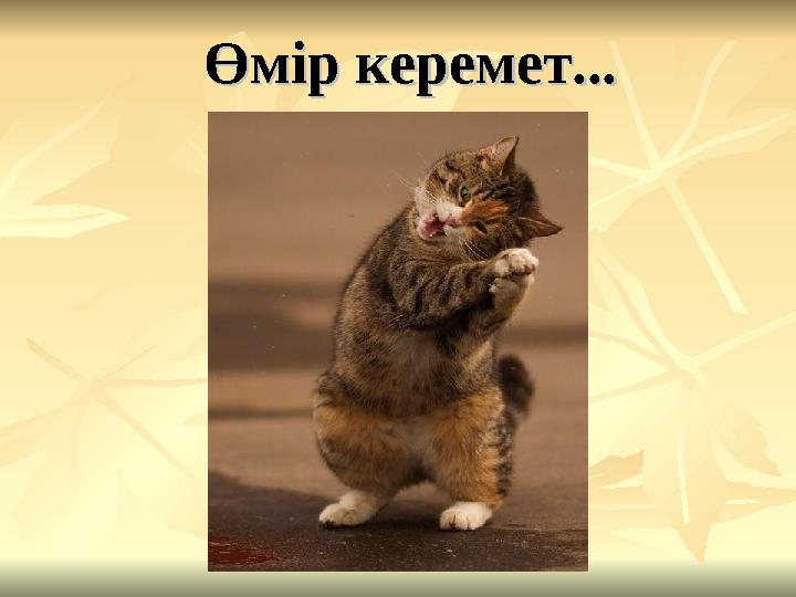 Өмір керемет... Өмір керемет...