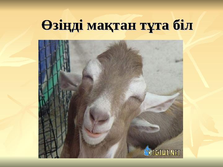 Өзіңді мақтан тұта білӨзіңді мақтан тұта біл