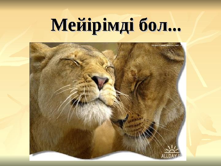 Мейірімді бол...Мейірімді бол...
