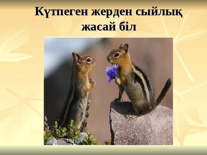 Күтпеген жерден сыйлық Күтпеген жерден сыйлық жасай білжасай біл
