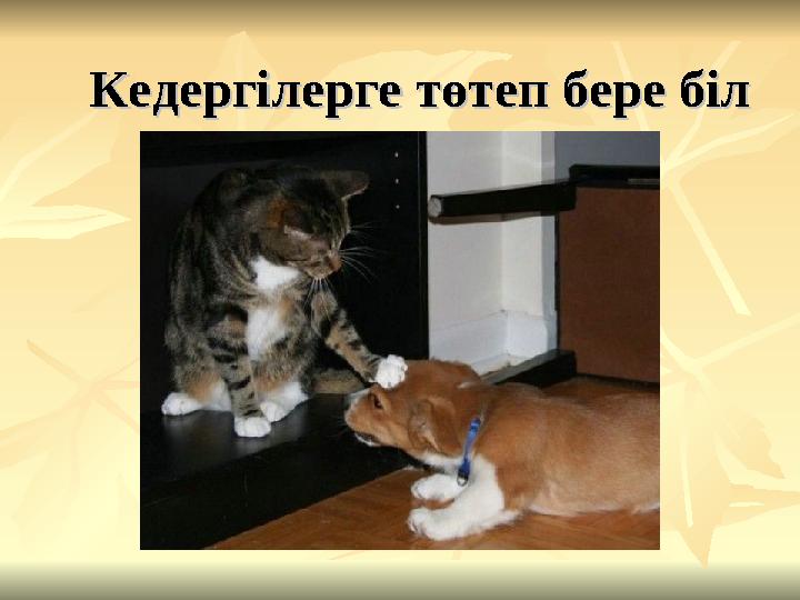 Кедергілерге төтеп бере білКедергілерге төтеп бере біл