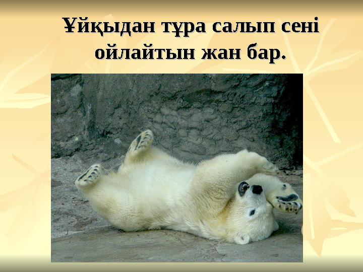 Ұйқыдан тұра салып сені Ұйқыдан тұра салып сені ойлайтын жан бар.ойлайтын жан бар.