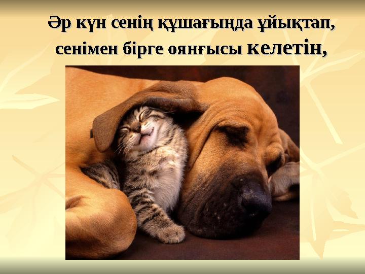 Әр күн сенің құшағыңда ұйықтап, Әр күн сенің құшағыңда ұйықтап, сенімен бірге оянғысы сенімен бірге оянғысы келетін,келетін,