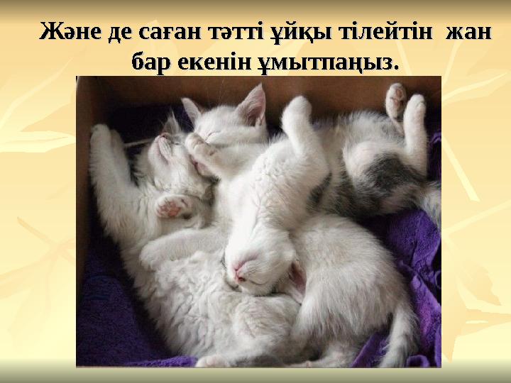 Және де саған тәтті ұйқы тілейтін жан Және де саған тәтті ұйқы тілейтін жан бар екенін ұмытпаңыз.бар екенін ұмытпаңыз.