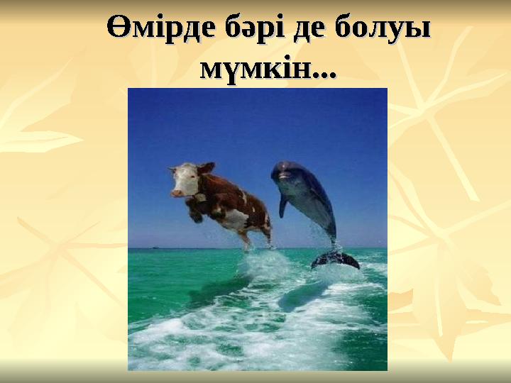 Өмірде бәрі де болуы Өмірде бәрі де болуы мүмкін...мүмкін...