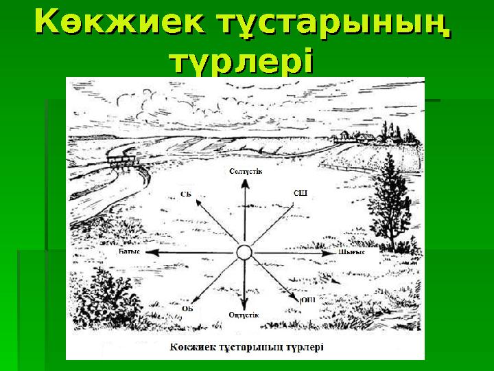 Көкжиек тұстарының Көкжиек тұстарының түрлерітүрлері