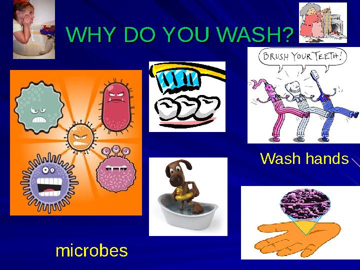 WHY DO YOU WASH?WHY DO YOU WASH? microbes Wash hands