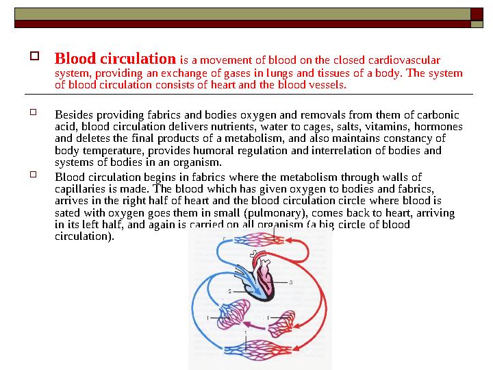 Blood circulation is a movement of blood on the closed cardiovascular system, providing an exchange of gases in lungs and tiss