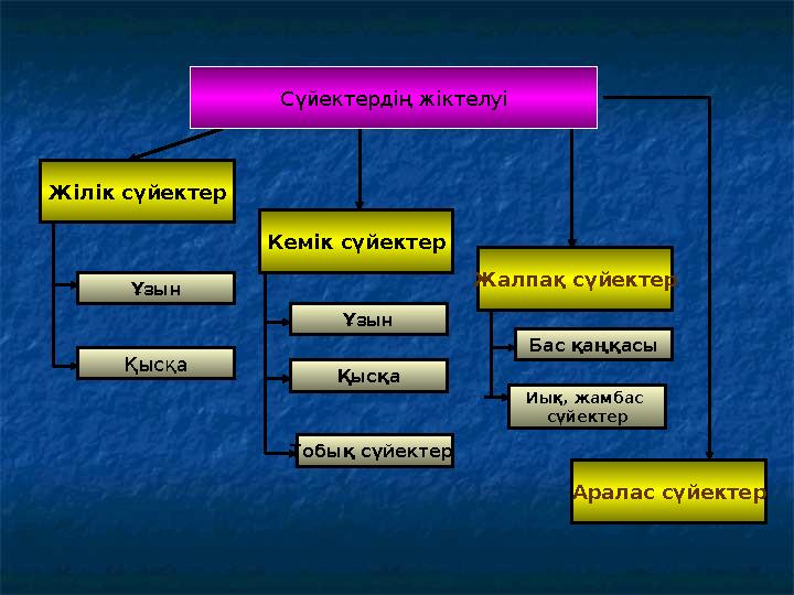 Жілік сүйектер Кемік сүйектер Жалпақ сүйектер Аралас сүйектерҰзын Қысқа Ұзын Қысқа Тобық сүйектер Иық, жамбас сүйектерБас қаңқ