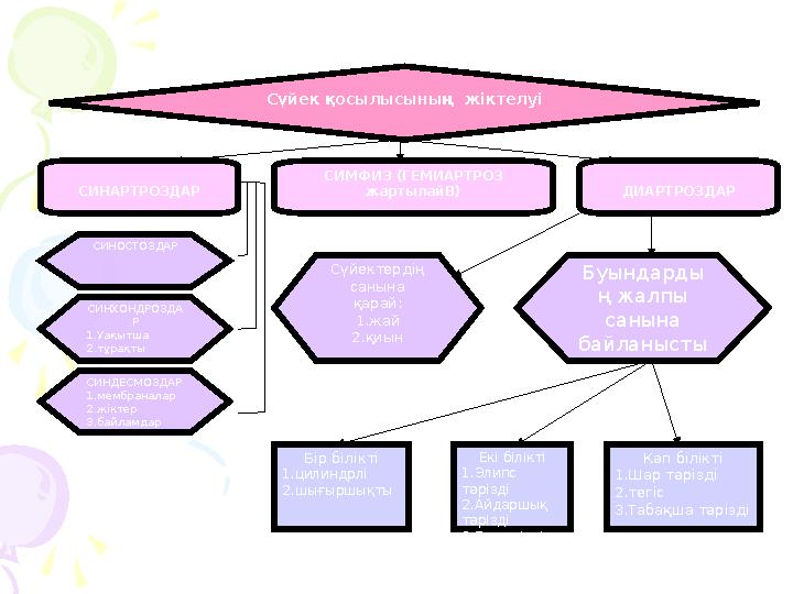 Сүйек қосылысының жіктелуі СИНАРТРОЗДАР ДИАРТРОЗДАРСИМФИЗ (ГЕМИАРТРОЗ жартылайВ) СИНОСТОЗДАР СИНХОНДРОЗДА Р 1.Уақытша 2.тұрақт