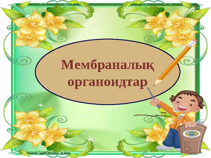 Мас украиндық әйелдер порносы Әйелдер дәретханасы төменнен жасырын камера көрінісі