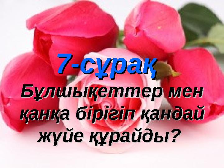 7-сұрақ7-сұрақ Бұлшықеттер мен Бұлшықеттер мен қанқа бірігіп қандай қанқа бірігіп қандай жүйе құрайды? жүйе құрайды?