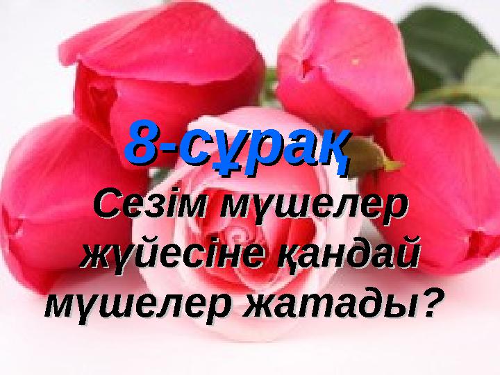 8-сұрақ8-сұрақ Сезім мүшелер Сезім мүшелер жүйесіне қандай жүйесіне қандай мүшелер жатады? мүшелер жатады?