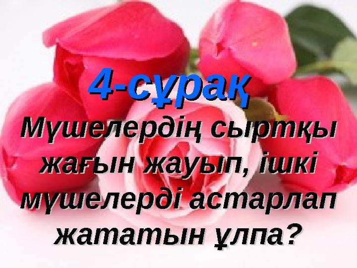 4-сұрақ4-сұрақ Мүшелердің сыртқы Мүшелердің сыртқы жағын жауып, ішкі жағын жауып, ішкі мүшелерді астарлап мүшелерді астарлап