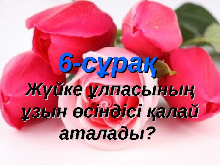 6-сұрақ6-сұрақ Жүйке ұлпасының Жүйке ұлпасының ұзын өсіндісі қалай ұзын өсіндісі қалай аталады? аталады?