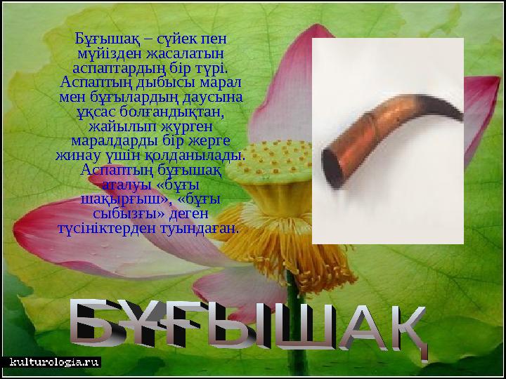 Бұғышақ – сүйек пен мүйізден жасалатын аспаптардың бір түрі. Аспаптың дыбысы марал мен бұғылардың даусына ұқсас болғанды