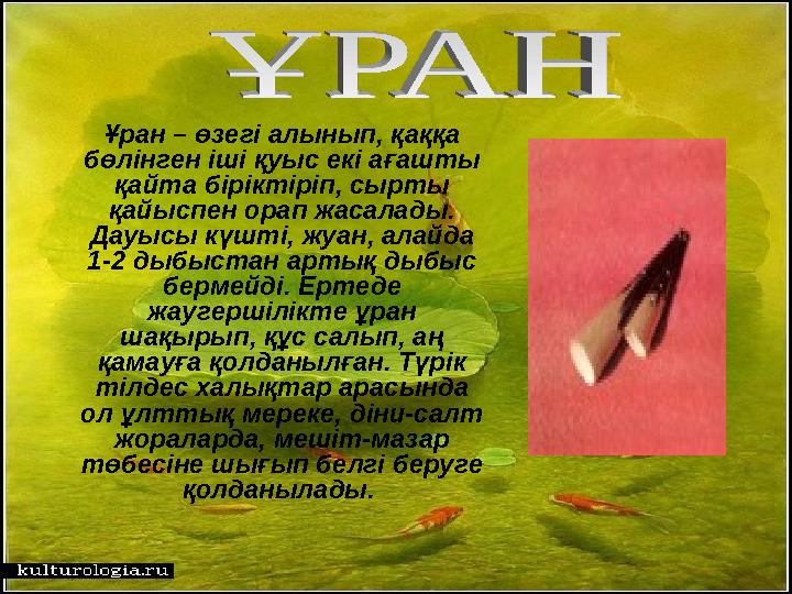 Ұран – өзегі алынып, қаққа бөлінген іші қуыс екі ағашты қайта біріктіріп, сырты қайыспен орап жасалады. Дауысы күшті, жу