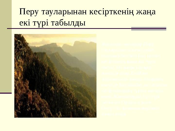 Перу тауларынан кесірткенің жаңа екі түрі табылды Жақында ғалымдар Перу тауларынан осыған дейін ғылымға белгісіз боп келген