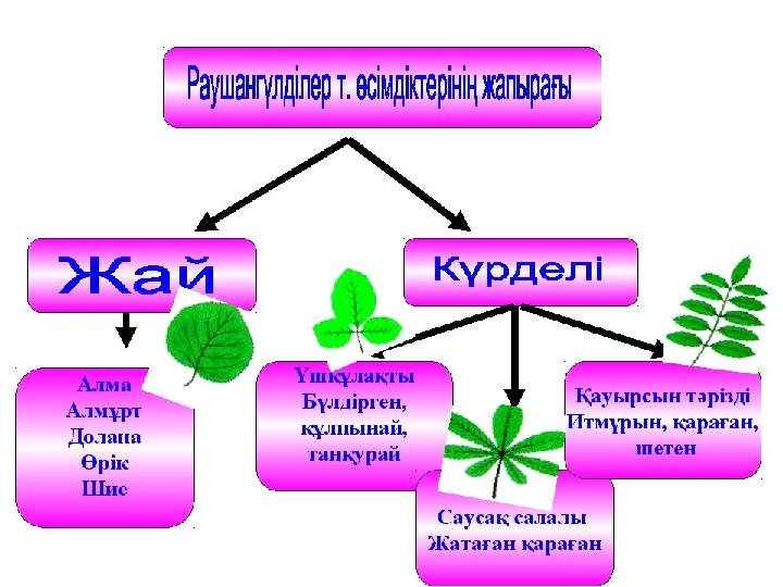 Порно орыс қыздарын жалап