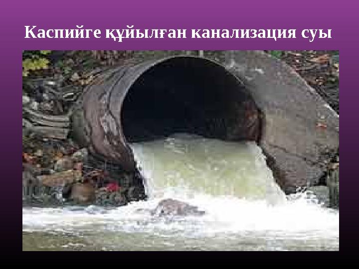 Каспийге құйылған канализация суы