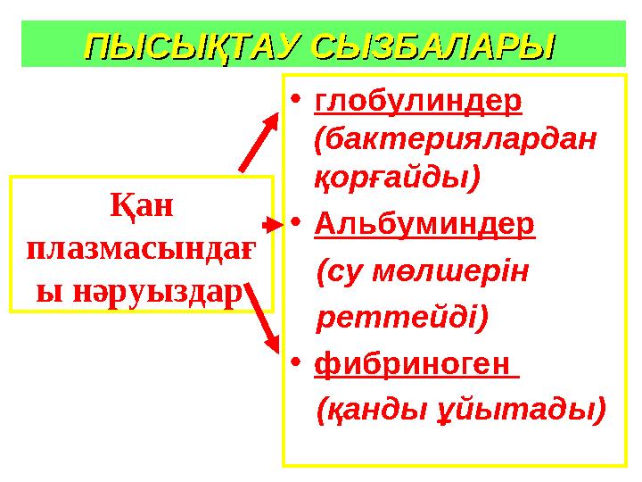 ПЫСЫҚТАУ СЫЗБАЛАРЫПЫСЫҚТАУ СЫЗБАЛАРЫ • глобулиндер (бактериялардан қорғайды) • Альбуминдер (су мөлшерін реттейді)