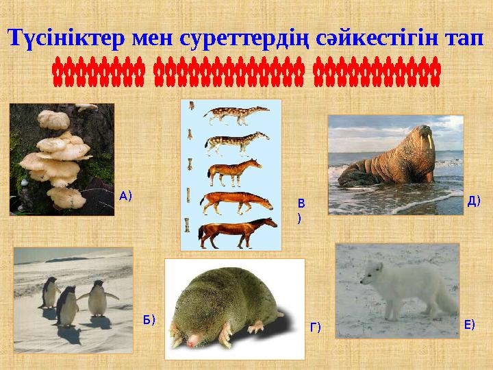 А) Б) В ) Г) Д) Е) Түсініктер мен суреттердің сәйкестігін тап