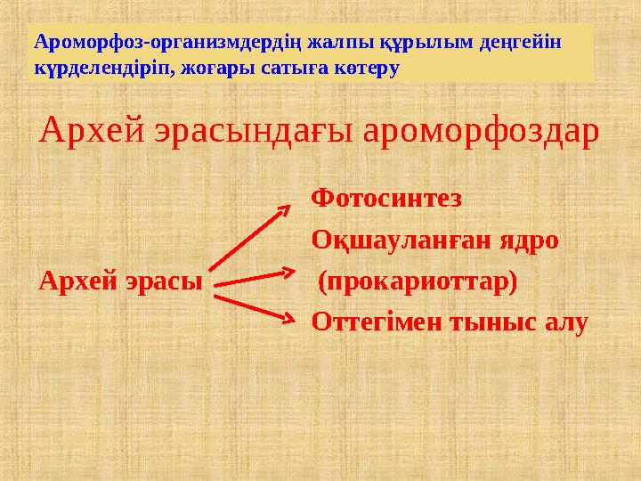 Архей эрасындағы ароморфоздар Фотосинтез