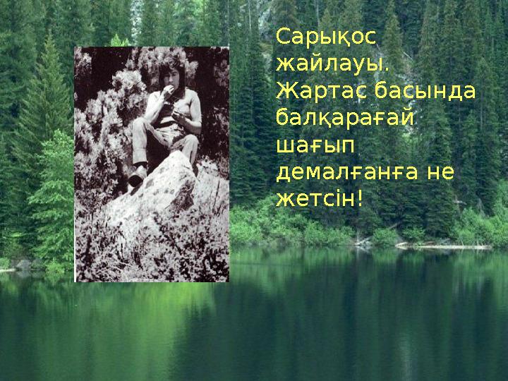 Сарықос жайлауы. Жартас басында балқарағай шағып демалғанға не жетсін!
