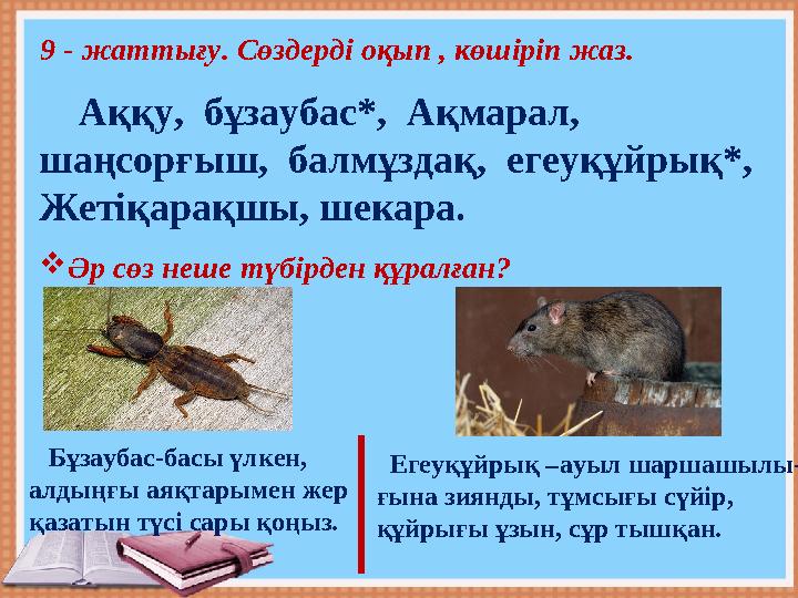 9 - жаттығу. Сөздерді оқып , көшіріп жаз. Аққу, бұзаубас*, Ақмарал, шаңсорғыш, балмұздақ, егеуқұйрық*, Жетіқарақшы, ше