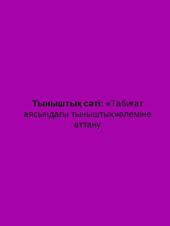 Тыныштық сәті: « Табиғат аясындағы тыныштық » әлеміне аттану