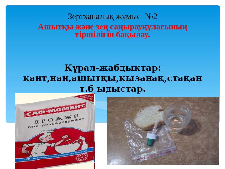 Құрал-жабдықтар: қант,нан,ашытқы,қызанақ,стақан т.б ыдыстар. Зертханалық жұмыс №2 Ашытқы және зең саңырауқұлағының тіршілі