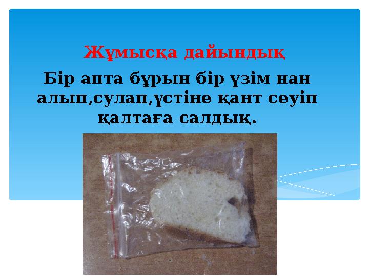Бір апта бұрын бір үзім нан алып,сулап,үстіне қант сеуіп қалтаға салдық. Жұмысқа дайындық