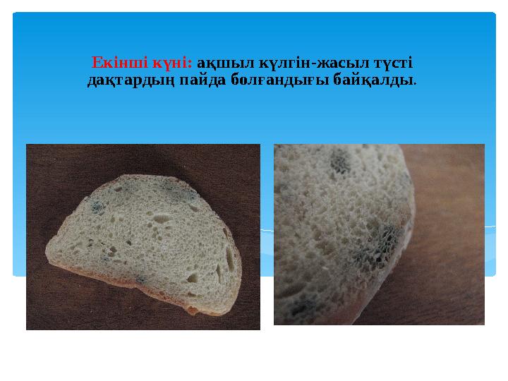 Екінші күні: ақшыл күлгін-жасыл түсті дақтардың пайда болғандығы байқалды.