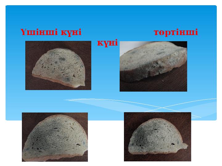 Үшінші күні төртінші күні