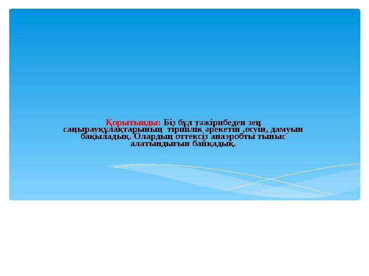 Қорытынды: Біз бұл тәжірибеден зең саңырауқұлақтарының тіршілік әрекетін ,өсуін, дамуын бақыладық. Олардың оттексіз анаэроб
