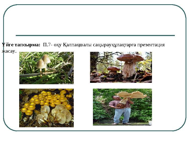 Үйге тапсырма: П.7- оқу Қалпақшалы саңырауқұлақтарға презентация жасау.