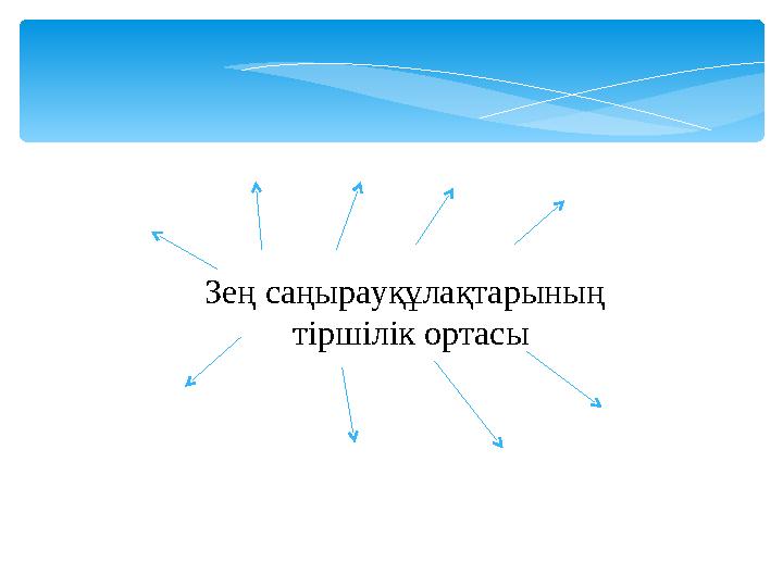 Зең саңырауқұлақтарының тіршілік ортасы