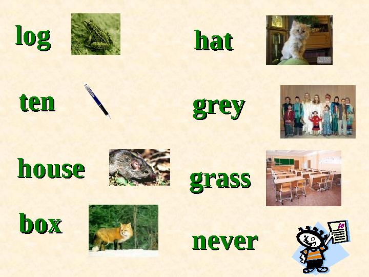 tenten househouse boxbox hathat greygrey grassgrass neverneverloglog