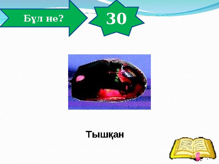 30 Бұл не? Тышқан