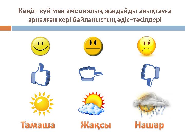 Көңіл–күй мен эмоциялық жағдайды анықтауға арналған кері байланыстың әдіс–тәсілдері