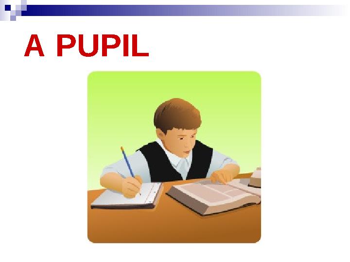 A PUPIL