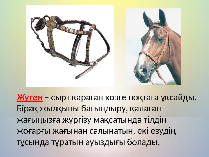 Жүген – сырт қараған көзге ноқтаға ұқсайды. Бірақ жылқыны бағындыру, қалаған жағыңызға жүргізу мақсатында тілдің жоғарғы жағы