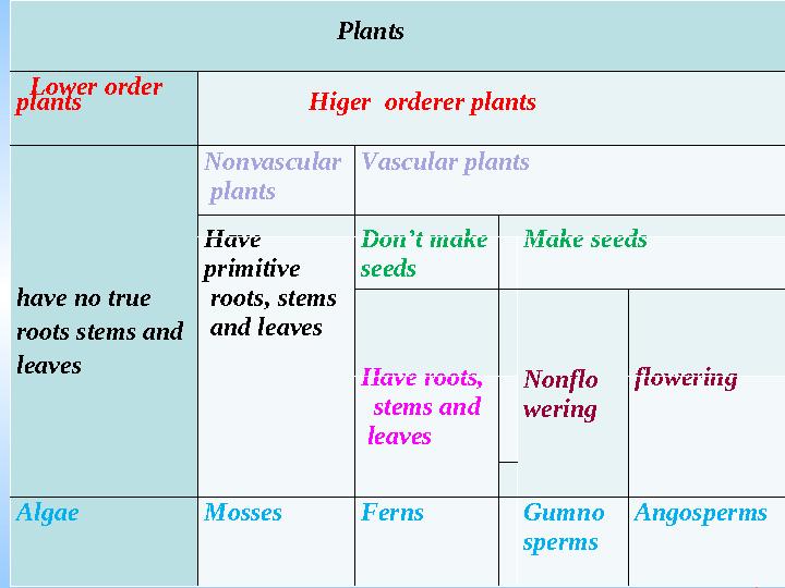 Ашық сабақтар Plants Lower ord