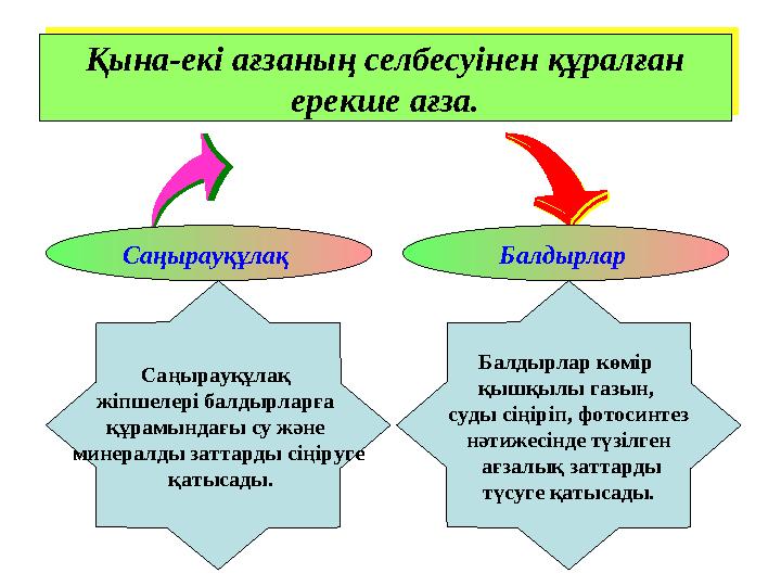 Қына-екі ағзаның селбесуінен құралған ерекше ағза. Қына-екі ағзаның селбесуінен құралған ерекше ағза. Саңырауқұлақ жіпшелері