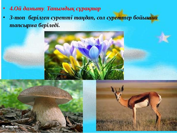 •4.Ой дамыту. Танымдық сұрақтар •3-топ берілген суретті таңдап, сол суреттер бойынша тапсырма беріледі.