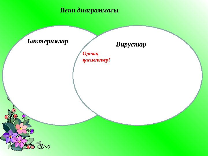 Венн диаграммасы Бактериялар Вирустар Ортақ қасиеттері