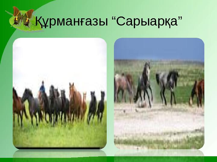 Құрманғазы “Сарыарқа”