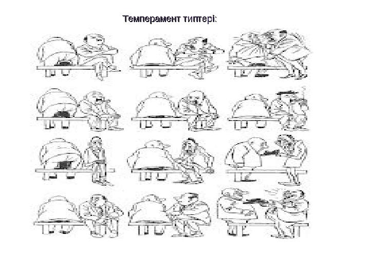 Темперамент типтерТемперамент типтер і:і: